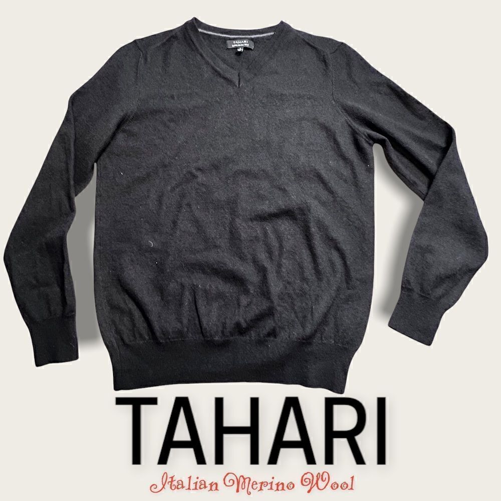 Tahari Mens Tollegno 1900 VNeck Extra Fine Merino Wool Lightweight Pullover Bk
